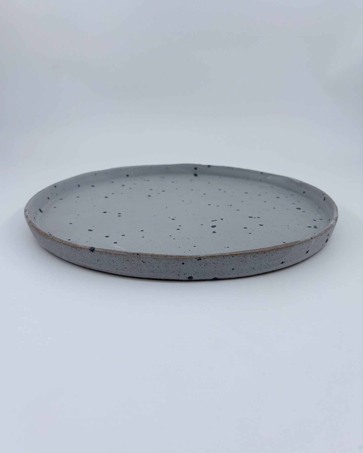 "Quail" Flat Plate XL Quail by Hanako Nakazato