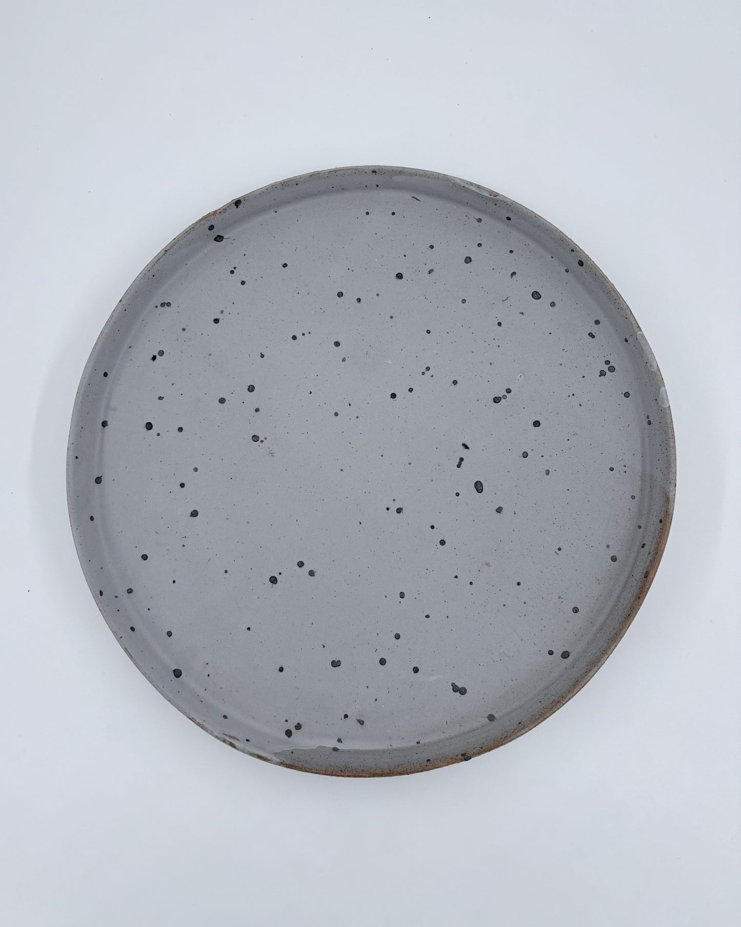 "Quail" Flat Plate XL Quail by Hanako Nakazato
