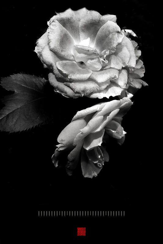 The Decoy Bouquet II　