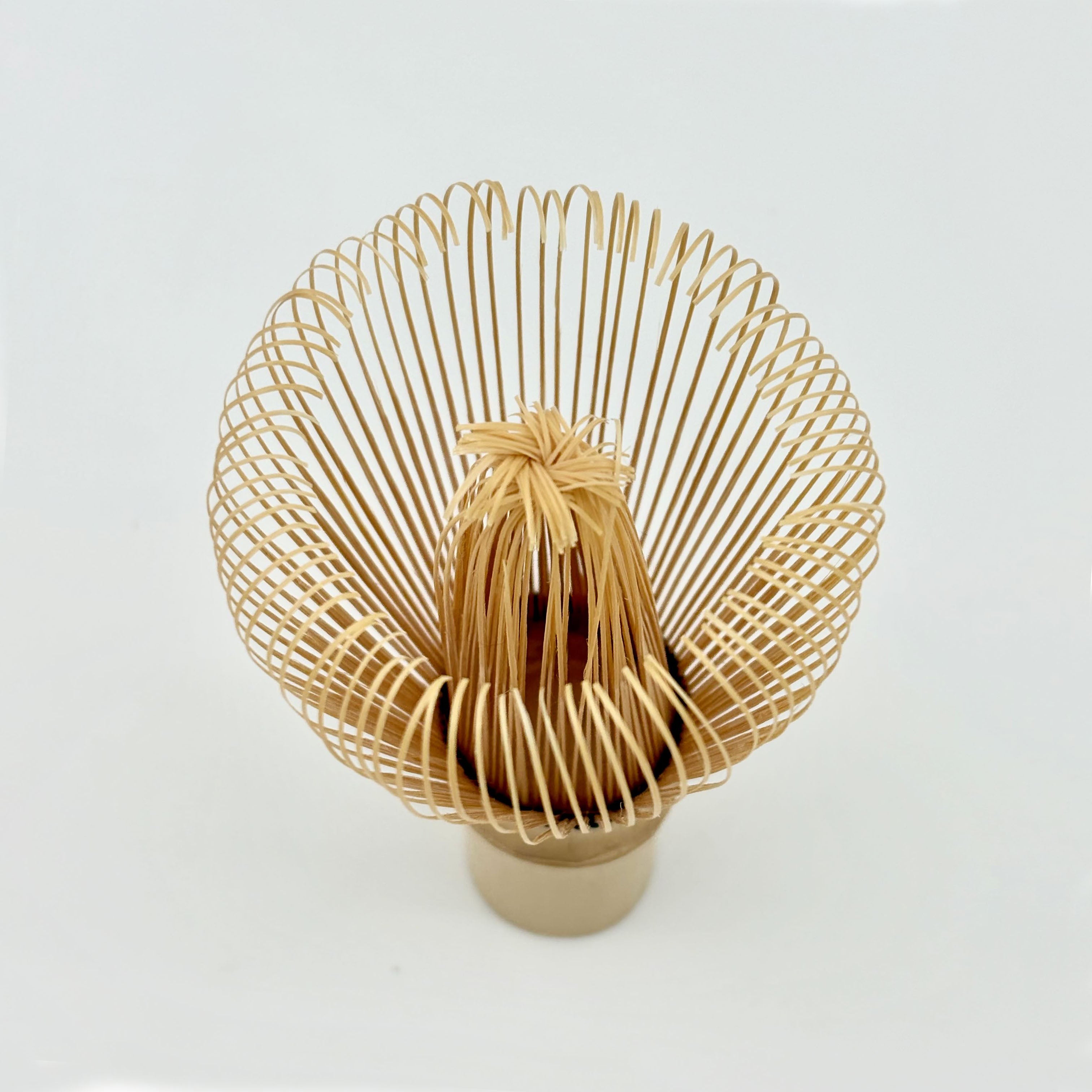 Chikumeido Takayama Chasen (Matcha Whisk) - 100 Tine